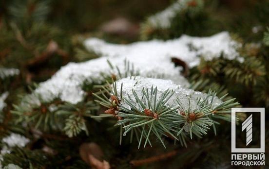 Порывы ветра и мокрый снег: непогода в Кривом Роге продолжится