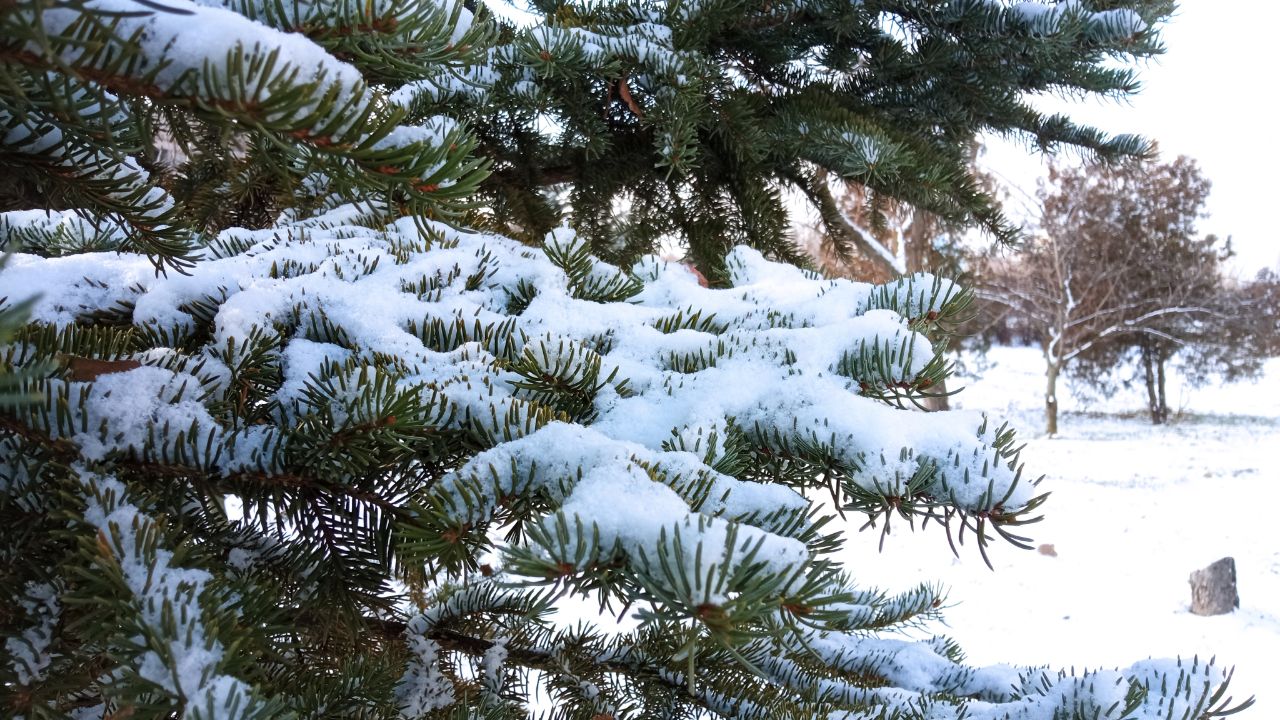 У Кривому Розі 12 січня буде холодна погода та випаде сніг