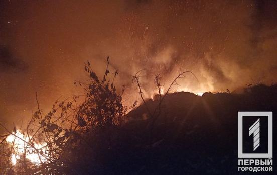В селе возле Кривого Рога вспыхнул масштабный пожар на стихийной свалке