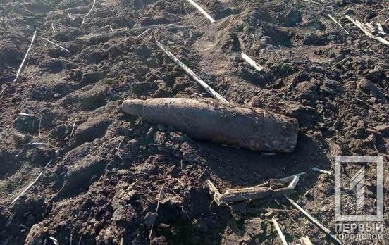 Во время полевых работ под Кривым Рогом нашли два артиллерийских снаряда