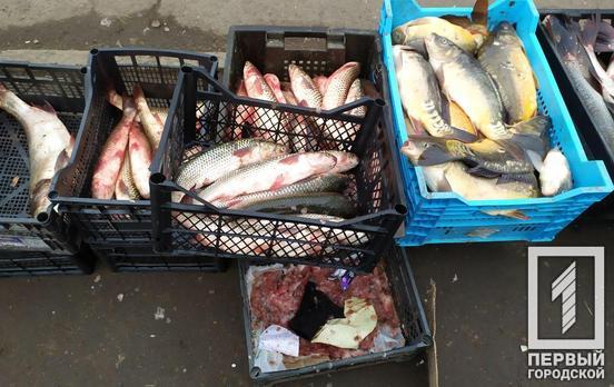 Около 100 килограммов рыбы: в Кривом Роге ликвидировали две точки незаконной продажи