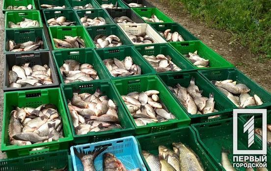 Тонна нелегальной рыбы: в Кривом Роге задержали предпринимателя, который реализовывал товар без документов