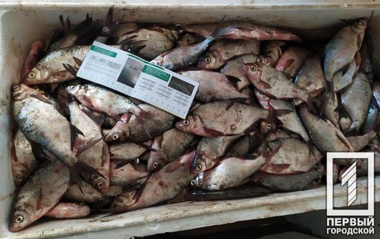 834 000 гривен ущерба: рыбхоз Кривого Рога пытался реализовать партию незаконно выловленной живности