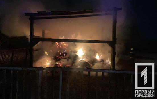 В Кривом Роге пламя уничтожило четыре тонны сена