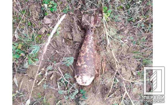 Собирал дрова и нашёл мину: под Кривым Рогом в лесополосе мужчина обнаружил старый снаряд