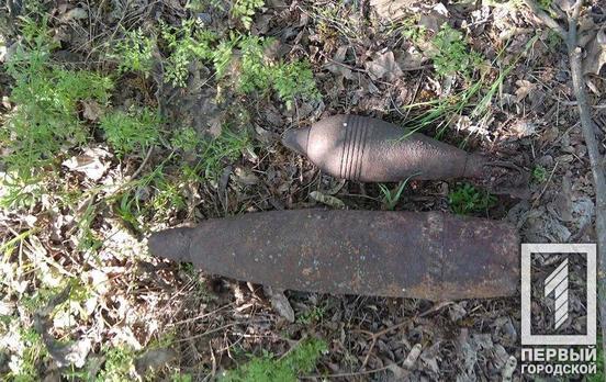 Мина и артиллерийский снаряд: под Кривым Рогом нашли два устаревших боеприпаса