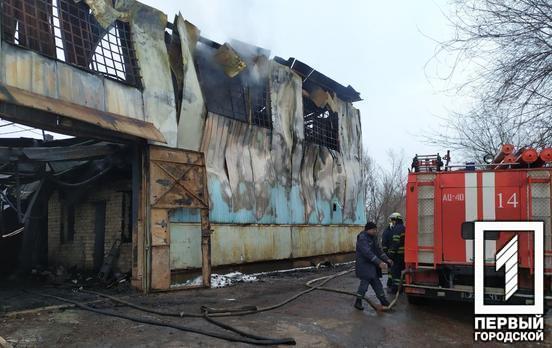 750 квадратных метров: в Кривом Роге огонь уничтожил нежилое здание и два автомобиля