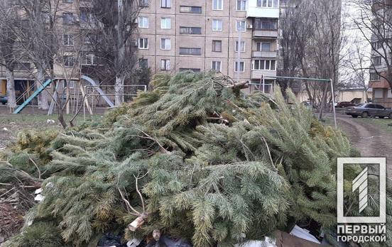 Окончен праздник: во дворах в центре Кривого Рога выбросили непроданные живые сосны, – фотофакт