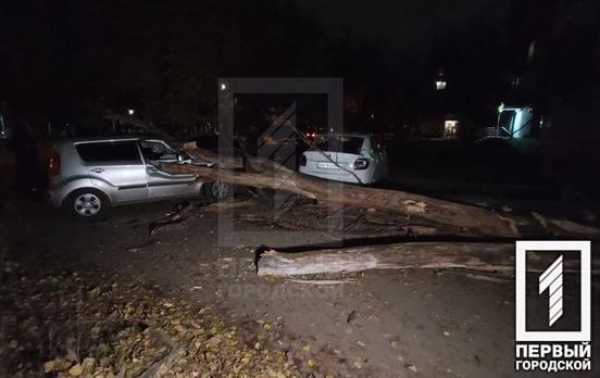 В Кривом Роге дерево повредило четыре машины и травмировало человека