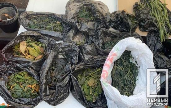 Полицейские Кривого Рога изъяли у мужчины около шести килограммов каннабиса