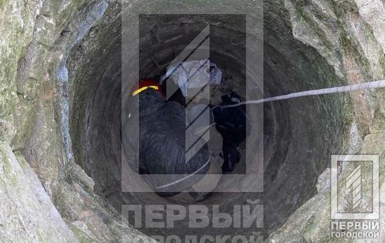 В одном из районов Кривого Рога нашли человеческие останки внутри канализационного колодца