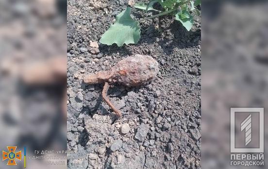 У селі неподалік Кривого Рогу місцевий житель знайшов застарілу гранату