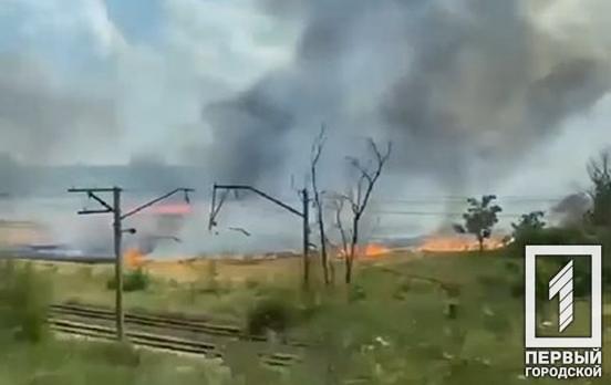 Масштабный пожар в Кривом Роге: огнем охвачено не менее двух гектаров сухостоя
