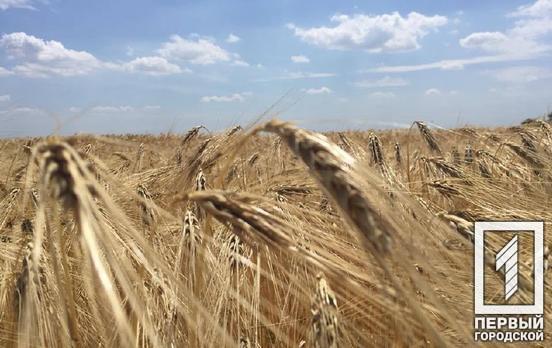 Українські аграрії зможуть отримати гранти до 7 мільйонів гривень