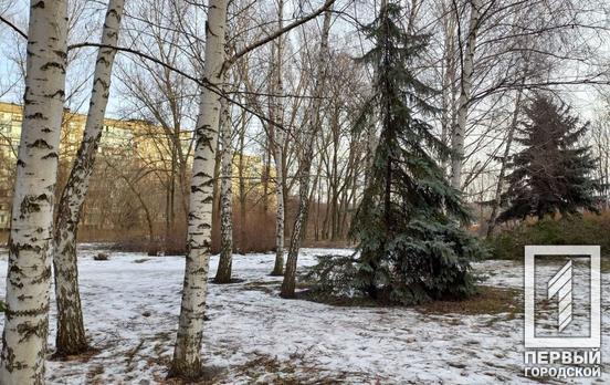 11 февраля в Кривом Роге день будет облачным, без осадков