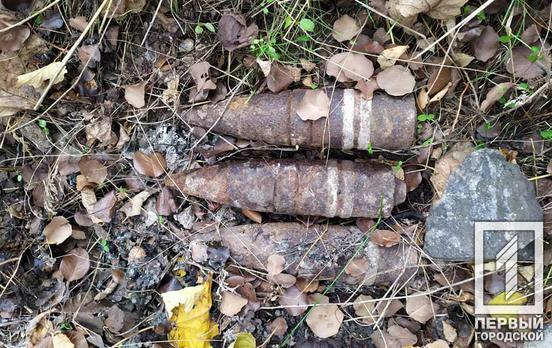Эхо войны: под Кривым Рогом нашли устаревшие боеприпасы