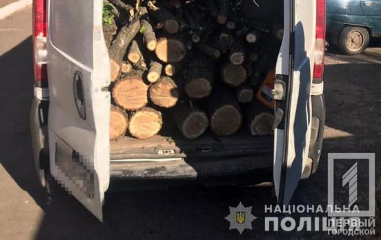 Полицейские Кривого Рога задержали мужчину с незаконно спиленной древесиной