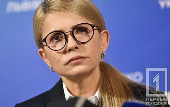 Юлия Тимошенко задекларировала почти 150 млн грн от американской фирмы