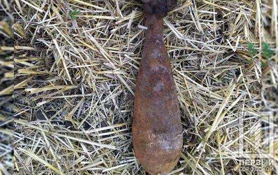 Под Кривым Рогом местный житель вместо дров нашёл устаревшую миномётную мину