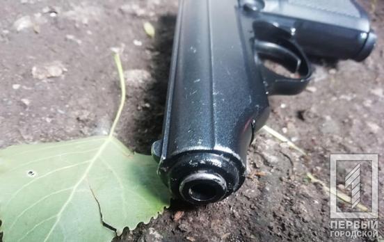 Жителям Кривого Рога угрожал пистолетом пьяный мужчина: его разоружили патрульные