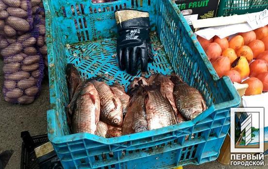 Крупный улов: в Кривом Роге ликвидировали точки незаконной продажи рыбы