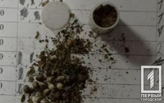 Рюкзак с сюрпризом: осужденный пытался пронести наркотики в исправительную колонию Кривого Рога