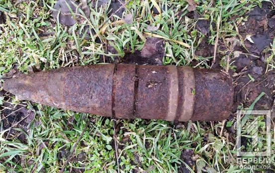 В лесополосе Кривого Рога нашли артиллерийский снаряд