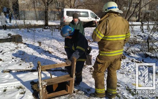 В Кривом Роге спасатели помогли выбраться собаке из трёхметрового погреба