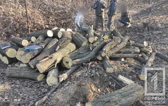 В Кривом Роге правоохранители остановили незаконную вырубку деревьев