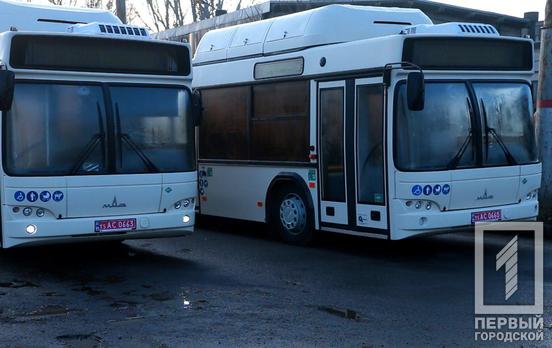 В Кривой Рог прибыли 10 автобусов, которые вскоре выйдут на маршруты