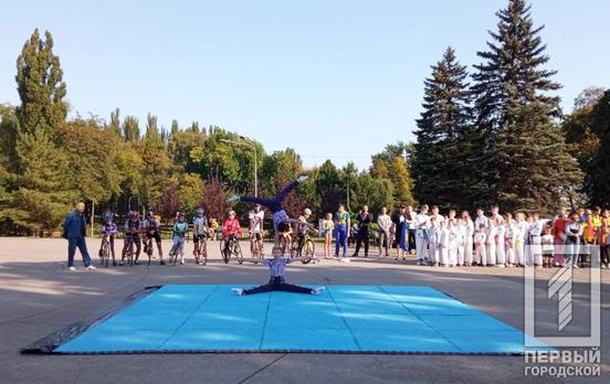 В День фізкультури в Металургійному районі Кривого Рогу організували спортивне свято