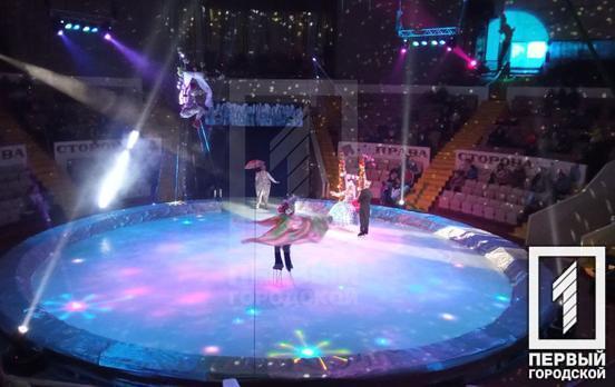 В Кривом Роге состоялась премьера новой цирковой шоу-программы «Ледовое королевство»