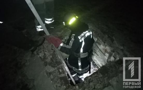 В Кривом Роге спасатели помогли выбраться собаке, которая провалилась в погреб