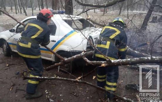 В Кривом Роге на автомобиль полицейских упало дерево