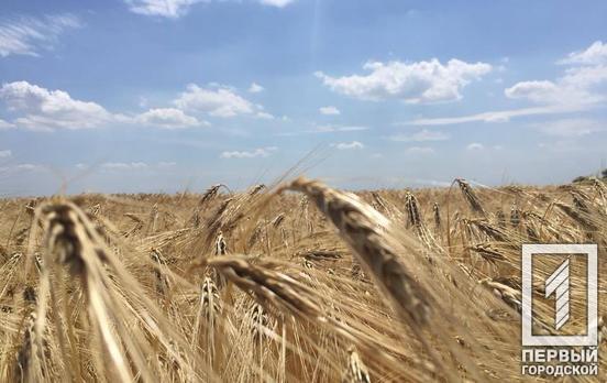 Украина уже экспортировала 2,7 млн ​​тонн сельскохозяйственной продукции
