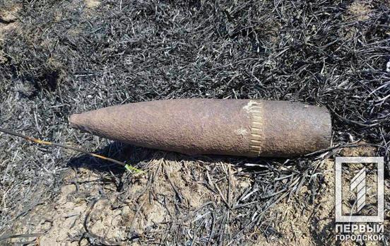 Под Кривым Рогом нашли два снаряда времён Второй мировой