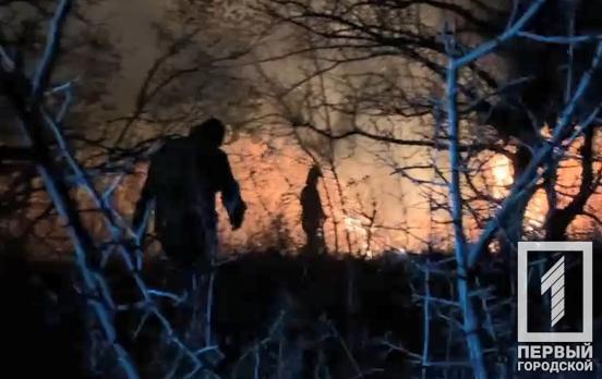 Рятувальники Кривого Рогу загасили пожежу в лісосмузі