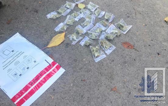 У Кривому Розі поліцейські знайшли у містянина два десятки сліп-пакетів з «травичкою»