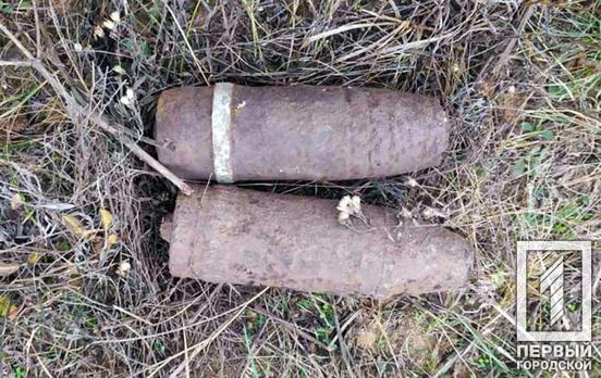 Во время прогулки мужчина недалеко от Кривого Рога нашёл устаревшие боеприпасы