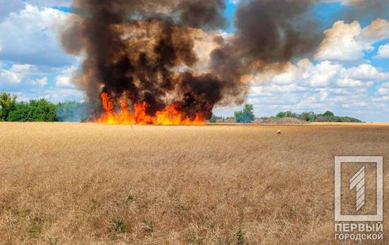 В результаті чергового ворожого обстрілу Криворізького району згоріло 50 га полів