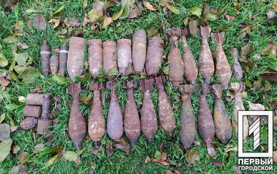 Недалеко от Кривого Рога обнаружили схрон с боеприпасами времён Второй мировой