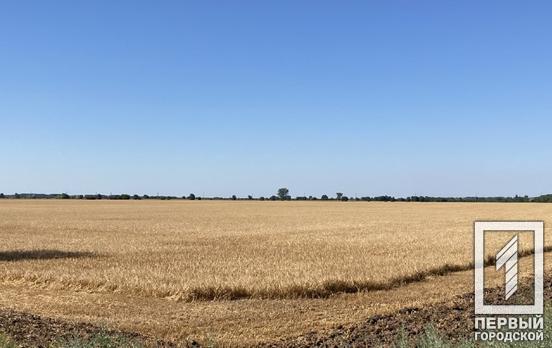 Російські окупанти масово крадуть українське зерно на тимчасово окупованих територіях, ‒ Мінагрополітики