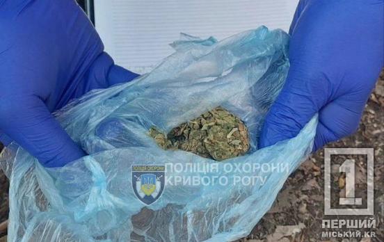 Знайшов у лісосмузі та залишив собі: у Кривому Розі поліція затримала містянина із підозрілою речовиною