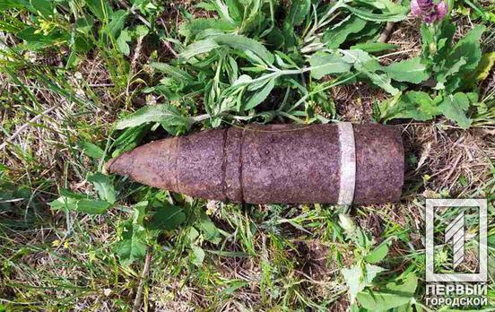 Под Кривым Рогом нашли и обезвредили устаревшие боеприпасы