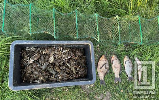 У розпал періоду заборони: на Криворіжжі браконьєр завдав майже мільйон грн