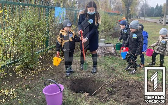 На території одного з дитячих садків Кривого Рогу висадили 25 лип в рамках екологічної програми