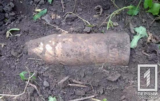 Недалеко от Кривого Рога обнаружили устаревшие боеприпасы