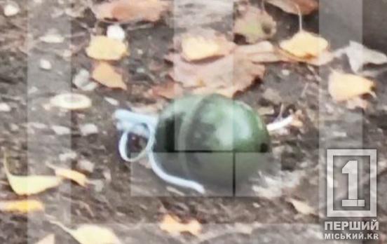 Не летальна, проте небезпечна: на Зарічному чоловіки розважалися з гранатою