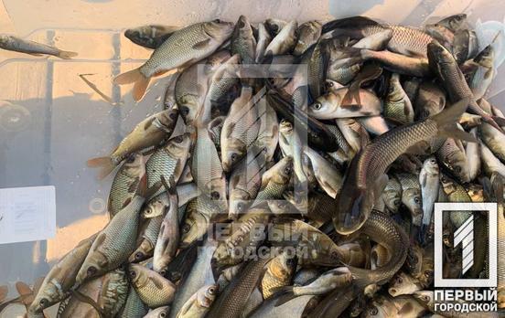 В Кривом Роге в реку Ингулец выпустили десять тысяч рыб