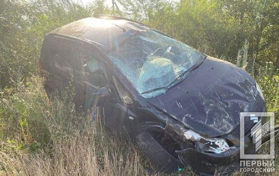 Загибель 10-річної дівчинки у ДТП: водія з Кривого Рогу затримали та повідомили про підозру у скоєнні злочину